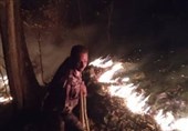 آتش‌سوزی در عرصه‌‌های جنگلی 4 شهر استان گیلان/‌ اطفای حریق با دمنده، کوله‌های آب‌پاش و آتش کوب!
