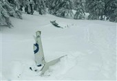 Small Plane Crashes in Austrian Mountains, Killing Four