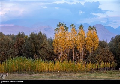 Осенняя природа Ирана - провинция Лорестан