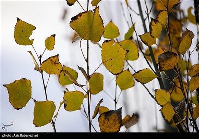 Осенняя природа Ирана - провинция Лорестан: