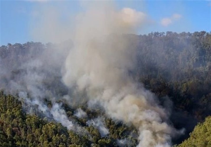‌آتش‌سوزی در 105 هکتار از جنگل‌های گیلان/ حریق کاملا مهار شد