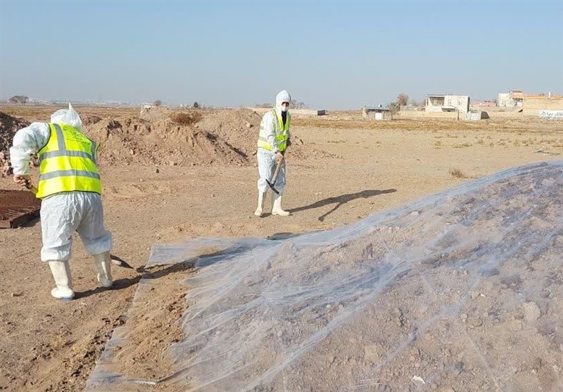 رزمايش،بيماري،پدافند،كريمه،كنگو،نيشابور،رضوي،زيستي،دام،خراسان