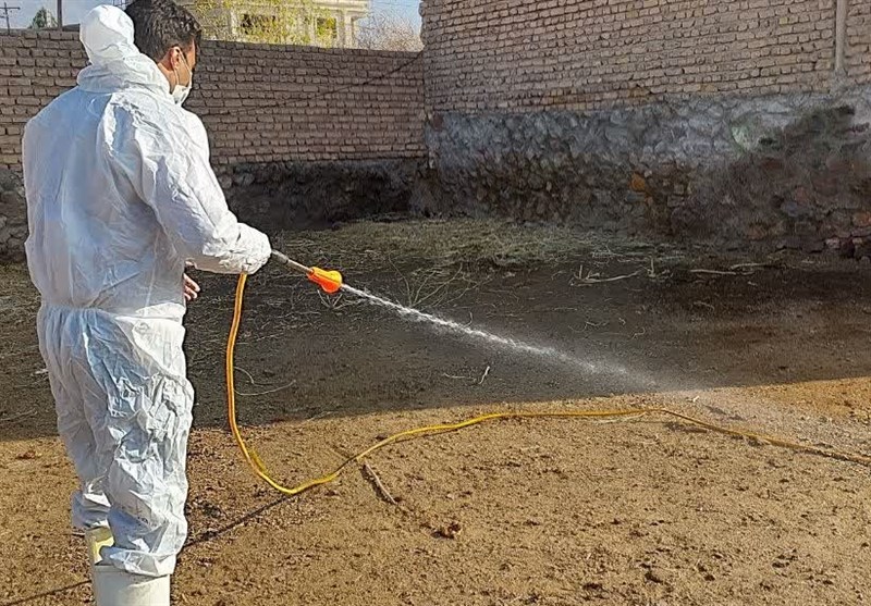 رزمايش،بيماري،پدافند،كريمه،كنگو،نيشابور،رضوي،زيستي،دام،خراسان