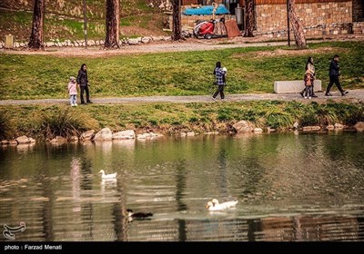 Осенняя природа Ирана - провинция Керманшах