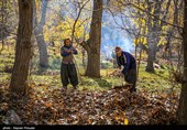 پاییز رنگارنگ کردستان