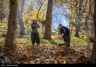 پاییز رنگارنگ کردستان