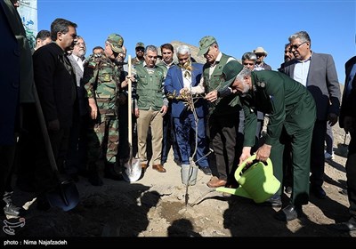 کاشت 500 اصله درخت در ارتفاعات غرب مشهد- عکس استانها تسنیم