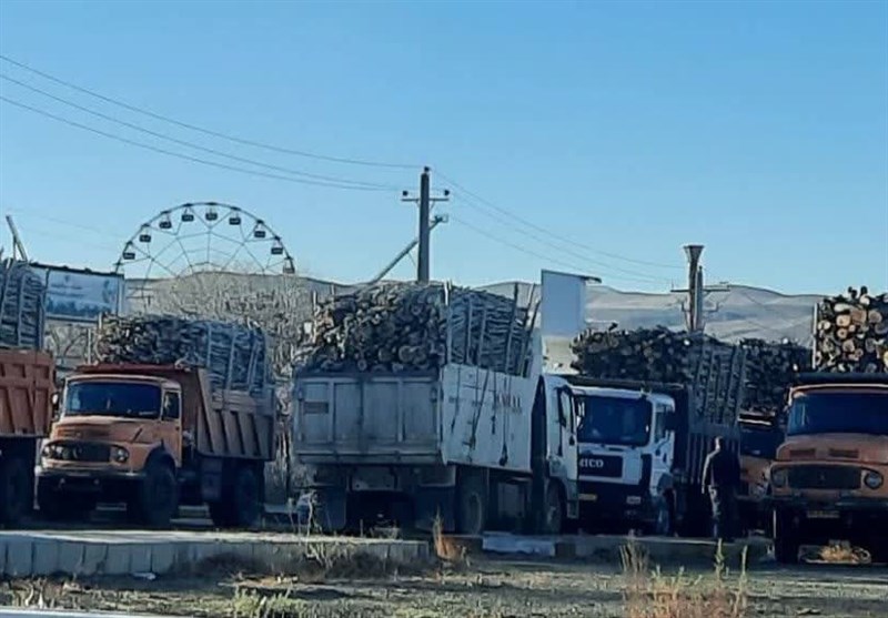 ماجرای تجمع کامیون‌داران حامل چوب در مقابل منابع طبیعی زنجان چه بود؟ + عکس