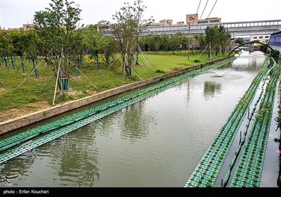 رودخانه های کوچک و بزرگ بسیاری از داخل شهر هانگژو عبور میکنند و این خود فرصت خوبی برای کشت بر سطح آب برای مردم فراهم میکند.