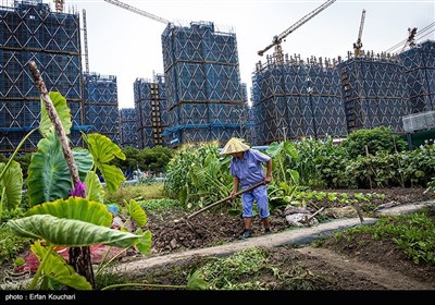توسعه شهری در چین به صورت سرسام آوری در حال انجام است و گاها این توسعه مناطق روستایی و کشاورزی را هم در برمی گیرد.