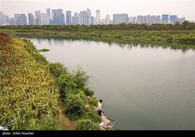 رودخانه های کوچک و بزرگ بسیاری از داخل شهر هانگژو عبور میکنند و روزانه تعداد افراد زیادی به ماهیگیری میپردازند.