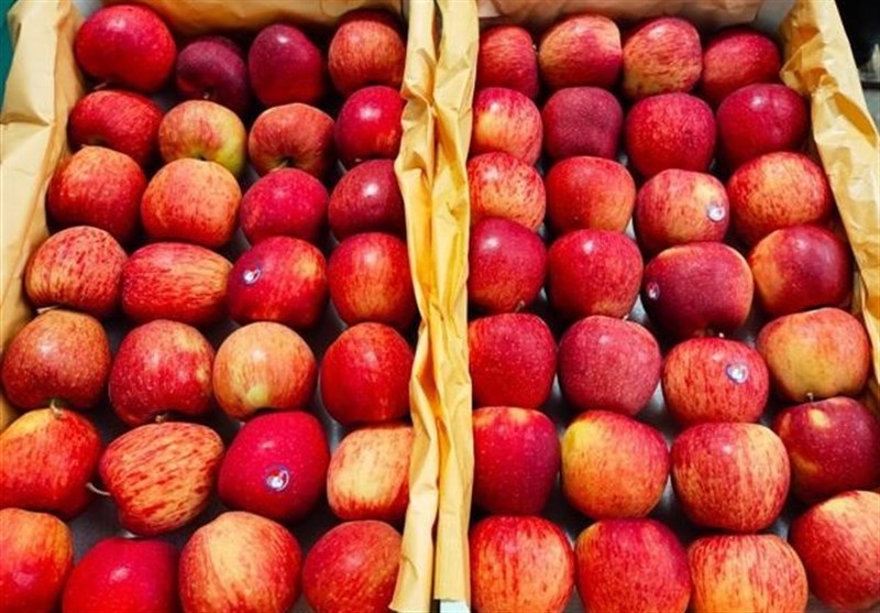 واردات سیب ایران برای تنظیم بازار 1.4 میلیارد نفری هند