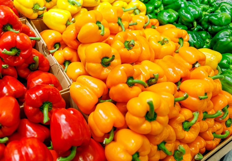 Iran Starts Exporting 30,000 Tons of Greenhouse Pepper to Asian, European States