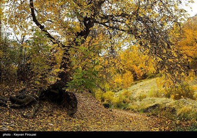 Осенняя природа Ирана - провинция Курдистан