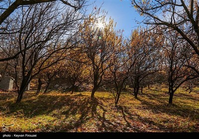 Осенняя природа Ирана - провинция Курдистан