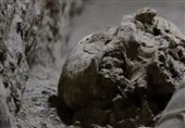 کشف بقایای اسکلت انسانی در فصل ششم کاووش آبراهه‌های تخت جمشید + تصویر