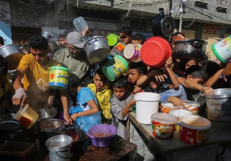 WFP Reports 36% of Gaza Households in Severe Hunger amid Escalating Israeli Attacks