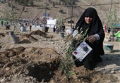 5 هزار نهال به یاد زنان و کودکان غزه کاشته شد