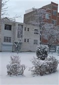 بارش نخستین برف پاییزی در اردبیل/ چله‌نشینی با طعم برف + فیلم و تصاویر