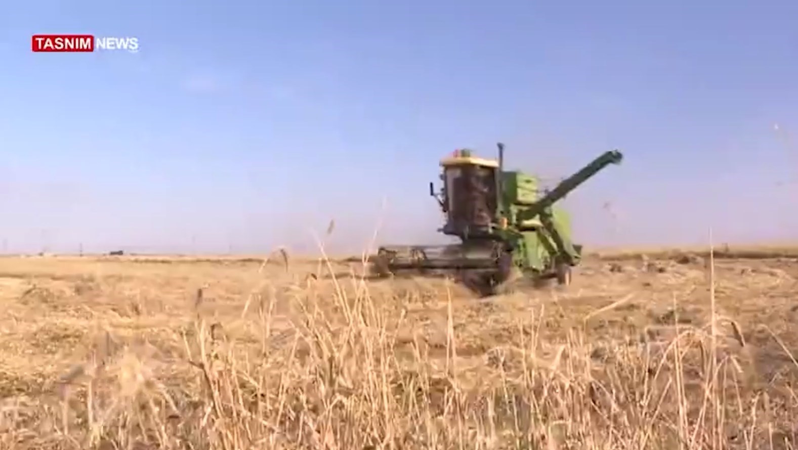 میزان کشت قراردادی گندم در خوزستان به بیش از 26 هزار هکتار رسید