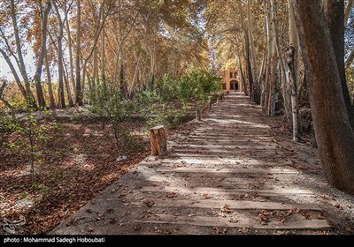 طبیعت باغ پهلوان پور- مهریز