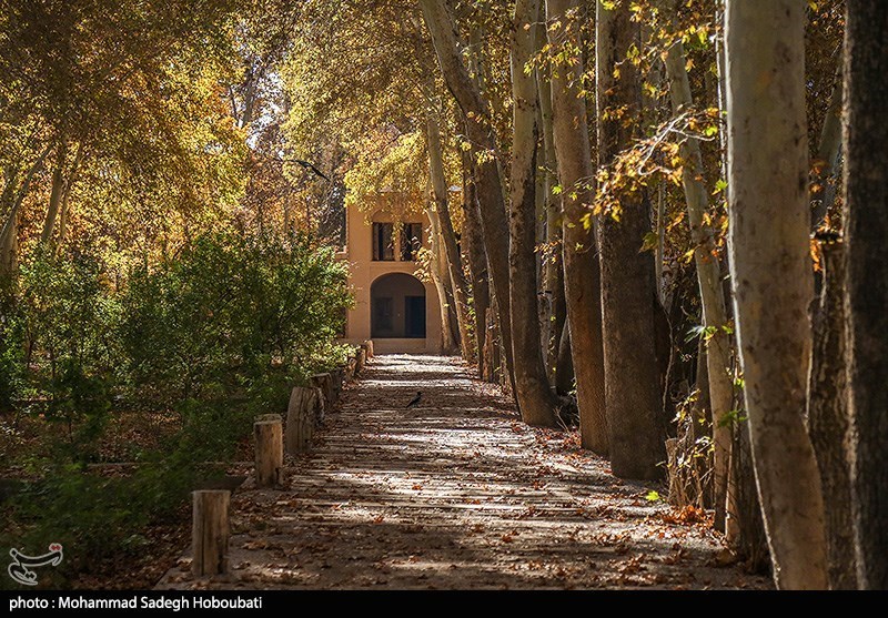 750 باغ در سطح شهر یزد تا پایان سال پلاک‌کوبی و شناسنامه‌دار می‌شوند