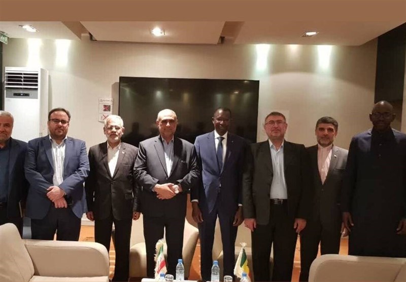 Iran to Export Veterinary Medicine Services to Senegal