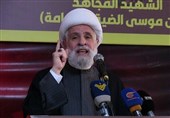 الشیخ نعیم قاسم: المقاومة الإسلامیة فرضت قواعدها باستخدام الحد الأدنى من القوة