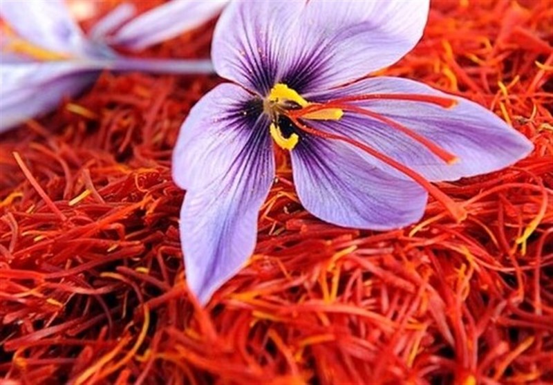 Iran’s Export of Saffron Up 28% in 8-Month-Period: Chairman