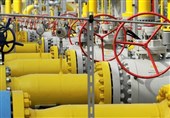 Iran’s Gas Export More than Doubles in 7 Months: TPOI