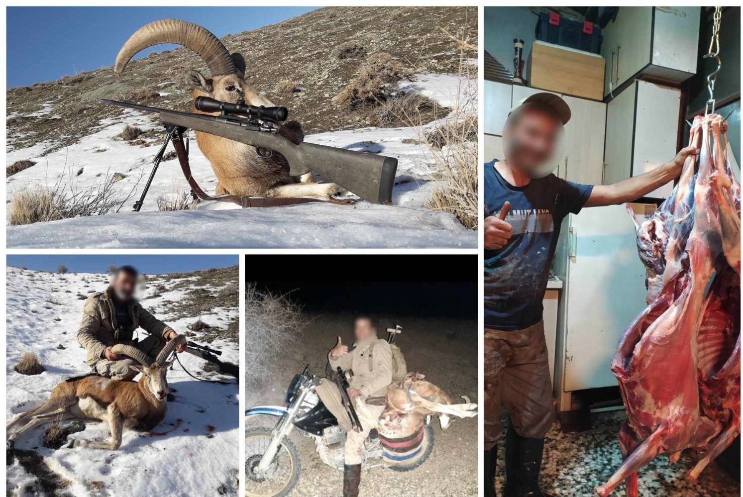 دستگیری 14 شکارچی و متخلف صیادی در مازندران
