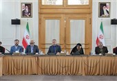 Western Notion of Human Rights in Iran Lacks Credibility: FM