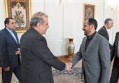 عضو ارشد مذاکره کننده دولت یمن با مشاور امیرعبداللهیان در تهران دیدار کرد