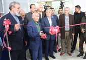 افتتاح خانه کشتی شهیدان &quot;خدمت&quot; در جنوب تهران