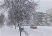 بارش برف اردبیل را سفیدپوش کرد + فیلم