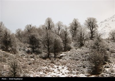 طبیعت زمستانی اشکورات گیلان