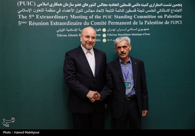 نجمین نشست اضطراری کمیته فلسطین اتحادیه مجالس کشورهای عضو سازمان همکاری اسلامی در تهران