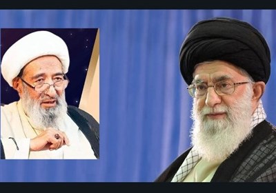  پیام تسلیت امام خامنه‌ای به علمای پاکستان در پی درگذشت آیت‌الله نجفی 