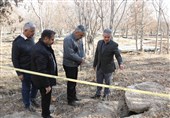 شناسایی 80 میله قنات در بوستان‌ها و فضای سبز جنوب تهران