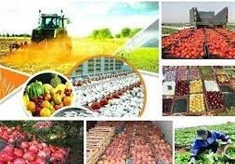 اشتغال‌زایی برای 3947 نفر در بخش کشاورزی استان کردستان