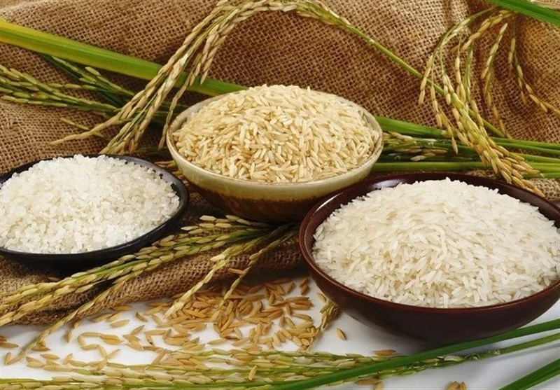 دستور کاهش میزان واردات برنج در زمان برداشت محصول صادر شد