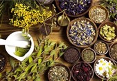 Iran Exports over 850 Tons of Medicinal Herbs in 10 Months: Official
