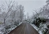 لبخند برف به طبیعت بجنورد/ نخستین برف زمستانی در خراسان شمالی بر زمین نشست + فیلم