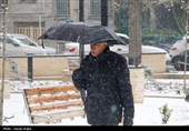 آماده‌باش 1700 نیرو در شهرداری کرمانشاه با شدت گرفتن بارش برف