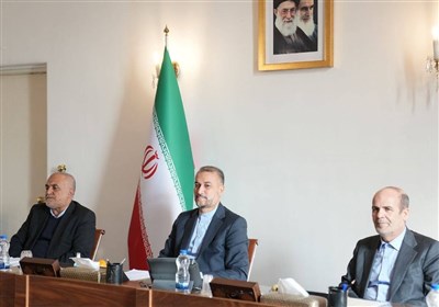  تلاش وزارت خارجه برای تسهیل ارائه خدمات مورد نیاز ایرانیان خارج از کشور 