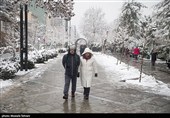 بارش برف در پایتخت