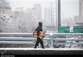 بارش برف در پایتخت