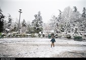 بارش برف در پایتخت
