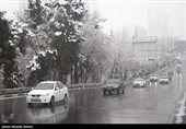 بارش برف در پایتخت