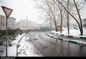 بارش برف در پایتخت
